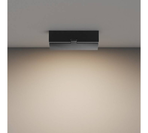 Накладной светильник Maytoni Basis Rot C133CL-12W3K-B