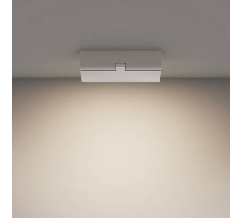 Накладной светильник Maytoni Basis Rot C133CL-12W4K-W