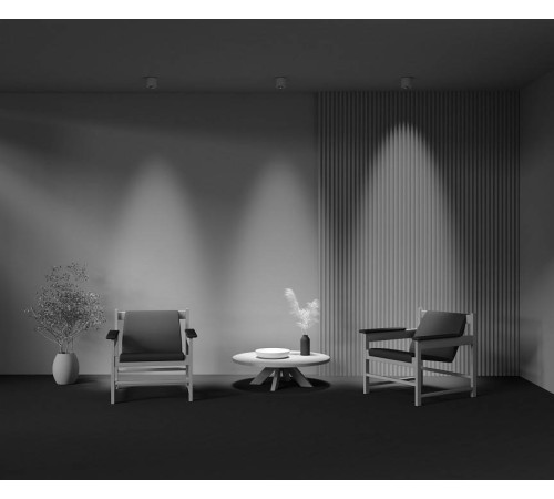 Накладной светильник Maytoni Lens C217CL-15W4K-W