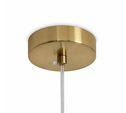 Подвесной светильник Freya Evelyn FR2038PL-01BS