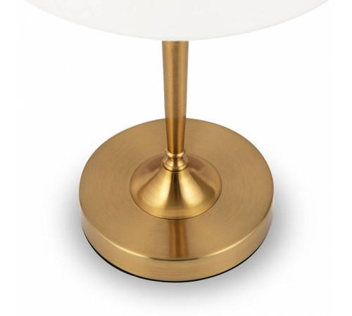 Настольная лампа декоративная Freya Rosemary FR5190TL-01BS1