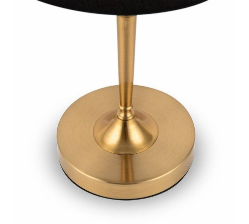 Настольная лампа декоративная Freya Rosemary FR5190TL-01BS