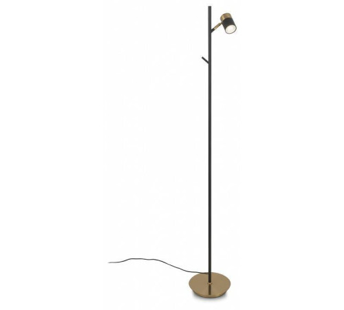 Торшер Freya Enzo FR5201FL-01B