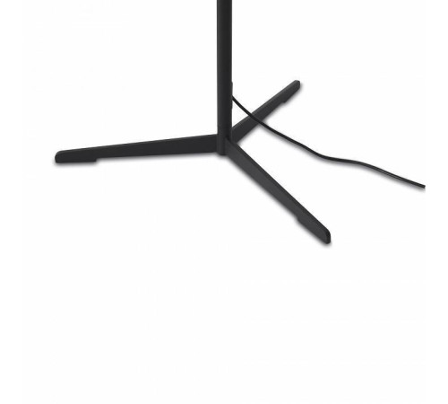 Торшер Freya Vabi FR6132FL-L15B