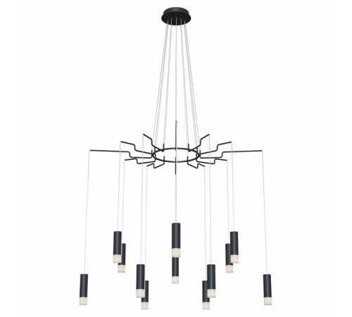 Подвесная люстра Maytoni Davida MOD035PL-12B