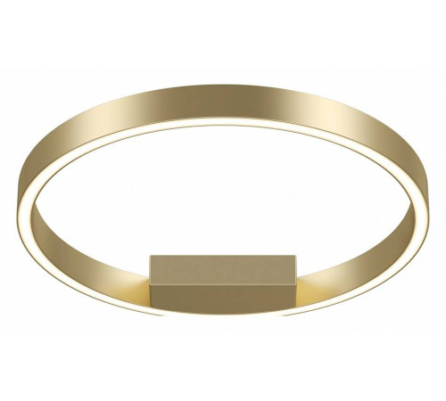 Накладной светильник Maytoni Rim MOD058CL-L25BSK