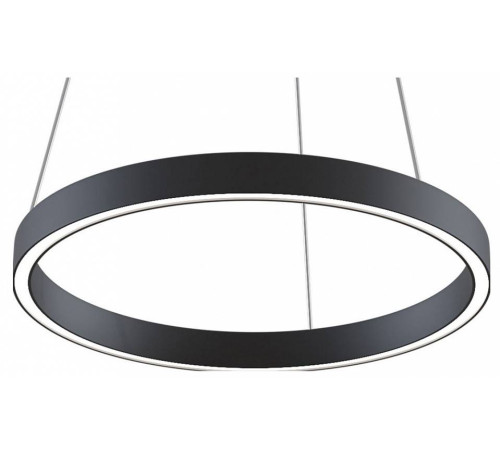 Подвесной светильник Maytoni Rim MOD058PL-L22BK