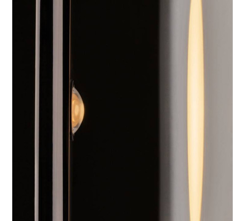 Накладной светильник Maytoni Theorema MOD288WL-L5B3K