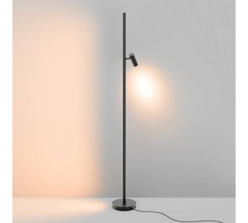 Торшер Maytoni Thin MOD395FL-L28B3K