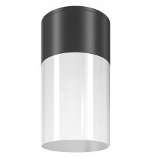 Потолочный светильник Maytoni Willis 1xE27 черный O418CL-01B