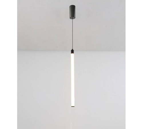 Подвесной светильник Maytoni Ray P022PL-L10B