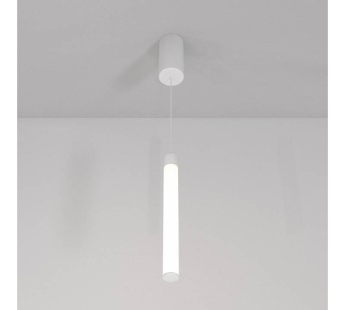 Подвесной светильник Maytoni Ray P022PL-L10W