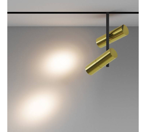 Светильник на штанге Maytoni Elti Duo TR005-4-2X12W-DS-BBS