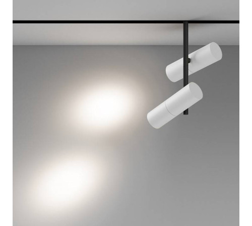 Светильник на штанге Maytoni Elti Duo TR005-4-2X12W-DS-BW