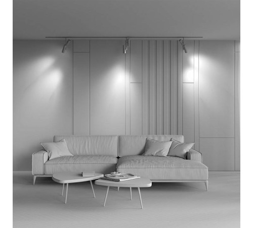 Светильник на штанге Maytoni Elti Duo TR005-4-2X12W-DS-BW