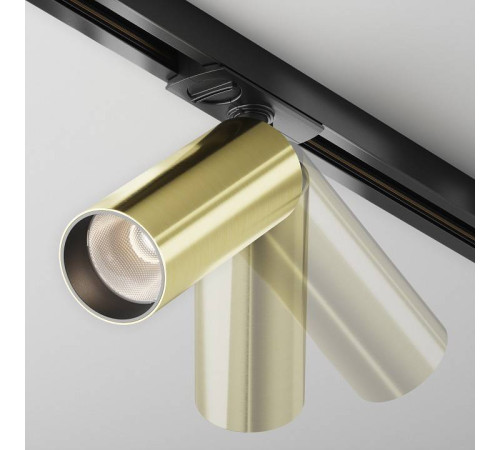 Светильник на штанге Maytoni Focus LED TR021-1-12W4K-W-BBS