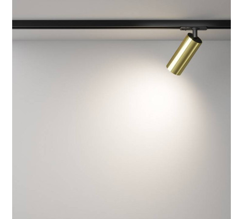 Светильник на штанге Maytoni Focus LED TR021-1-12W4K-W-BBS