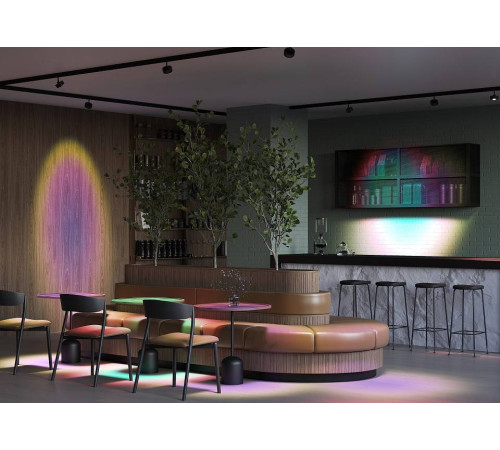 Светильник на штанге Maytoni Lens TR217-2-15W4K-B