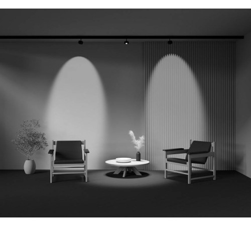 Светильник на штанге Maytoni Lens TR217-2-15W4K-B