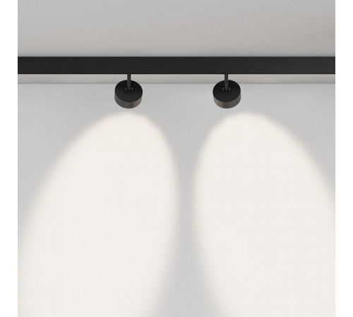 Светильник на штанге Maytoni Lens TR217-4-15WTW-DD-B