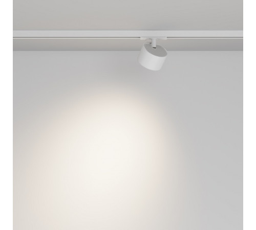 Светильник на штанге Maytoni TR225-1-GX53-W