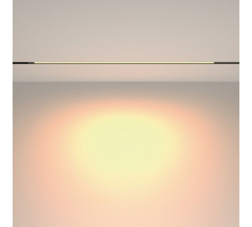 Накладной светильник Maytoni Technical Basis TR231-2-15W3K-B