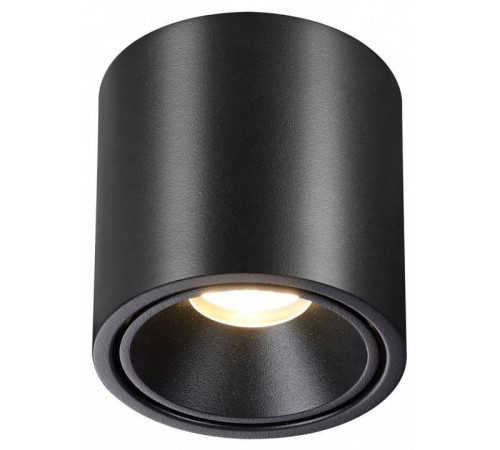 Потолочный светодиодный светильник Odeon Light Redo 6619/10CL