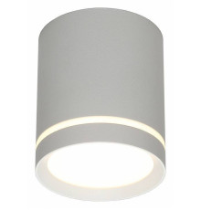 Накладной светильник Omnilux Capurso OML-102429-05