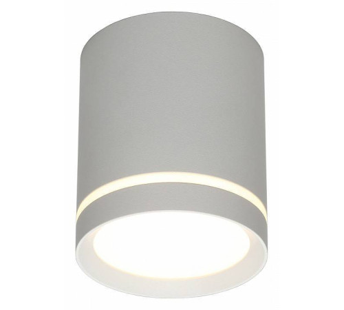 Накладной светильник Omnilux Capurso OML-102429-05