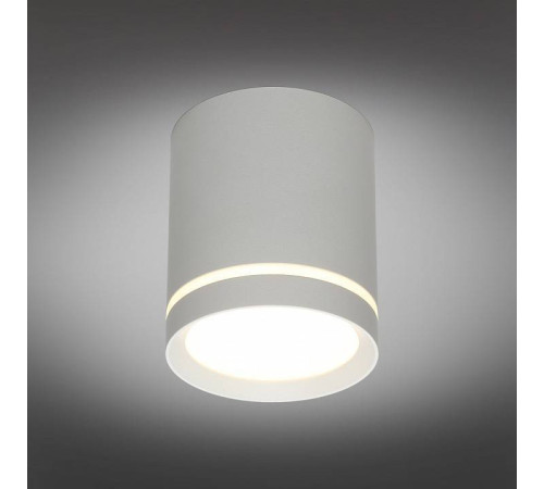 Накладной светильник Omnilux Capurso OML-102429-05