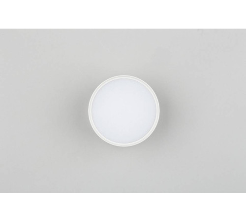 Накладной светильник Omnilux Abano OML-103309-06