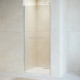 Душевая дверь RGW Passage PA-103 900 мм 020810309-11