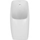 Писсуар подвесной Aquanet Cetus сенсорный белый 00344302