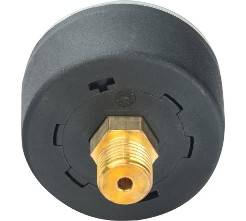 Манометр аксиальный Watts F+R100 50 мм 1/4 0-6 бар 10008092