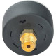 Манометр аксиальный Watts F+R100 50 мм 1/4 0-6 бар 10008092