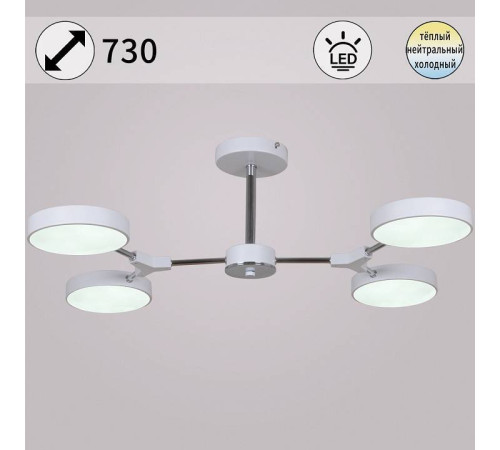 Люстра на штанге 13246-4.3-04