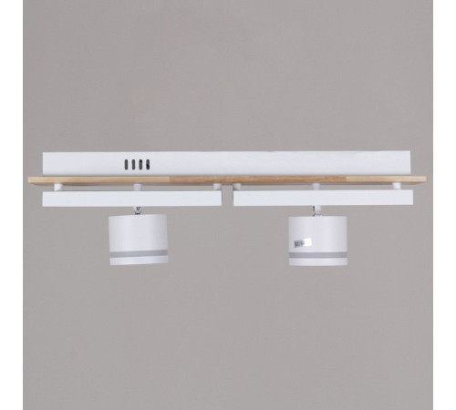 Накладной светильник De Markt Ракурс WH+WOOD 19560-0.3-2+2 WH+WOOD