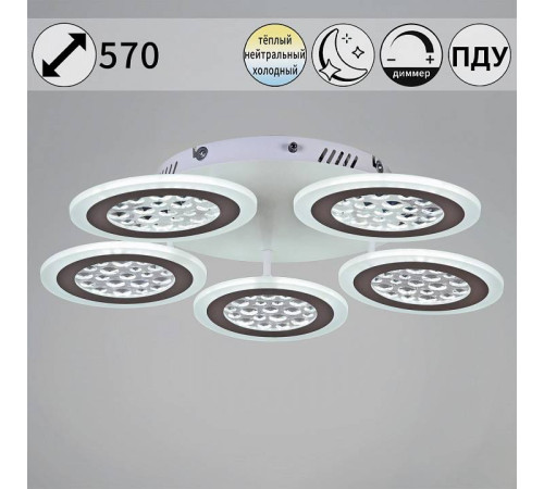 Потолочная люстра 20491-0.3-05 WT