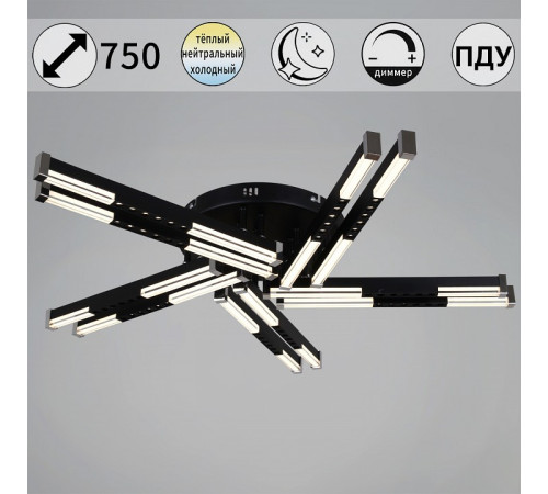 Люстра на штанге 24090-0.3-10 BK