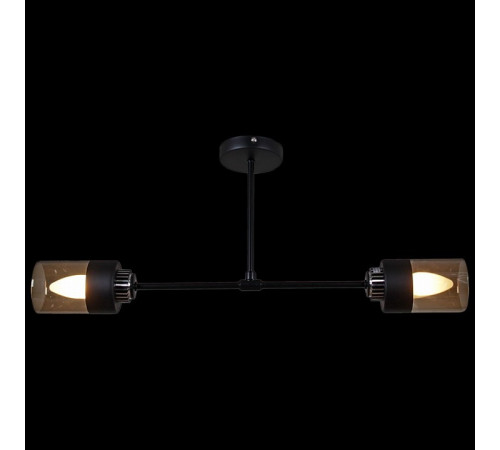 Светильник на штанге 32352-0.3-02