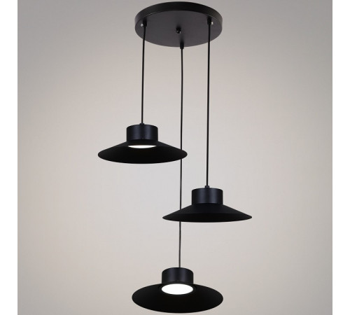 Подвесной светильник 40110-0.9-03A BK