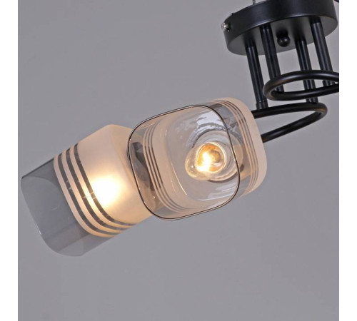 Потолочная люстра Reluce 70176 70176-0.3-04 BK