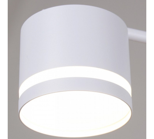 Люстра на штанге 89730-0.3-12 GX53 WT