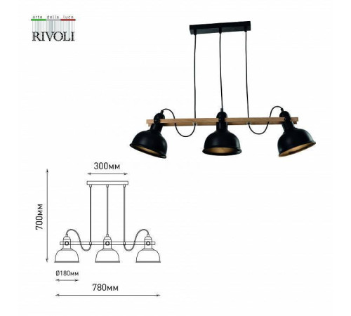 Подвесной светильник Rivoli Nathalie 1xE27 40 Вт Б0050324