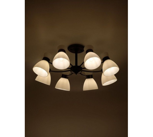 Люстра на штанге Rivoli Aemilia 9185-308