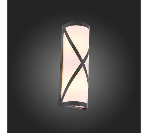 Накладной светильник ST-Luce Agio SL076.411.01