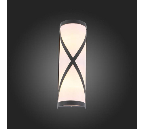 Накладной светильник ST-Luce Agio SL076.411.01
