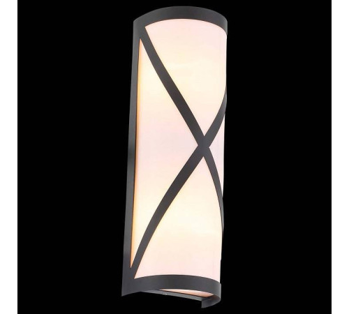 Накладной светильник ST-Luce Agio SL076.411.01