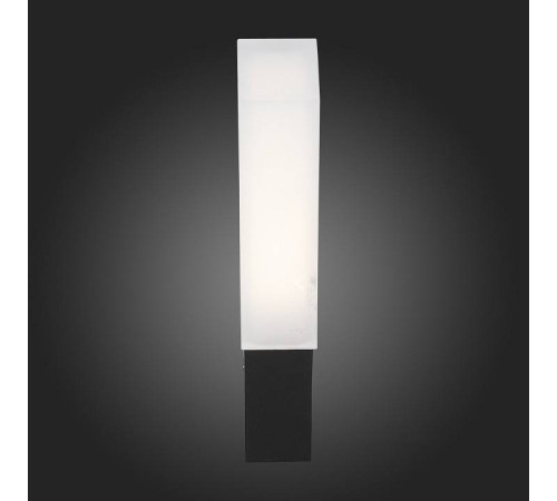 Накладной светильник ST-Luce Posto SL096.411.02