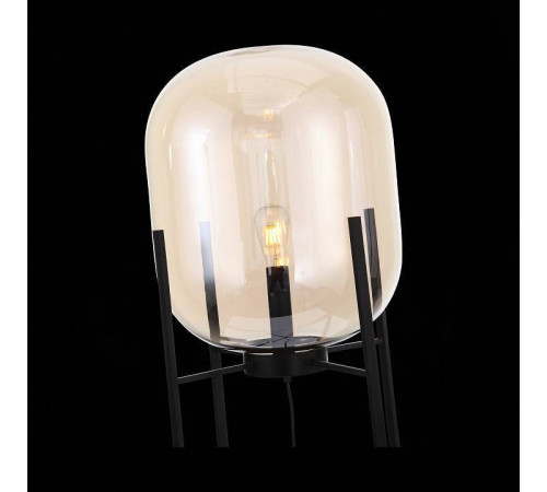 Торшер ST-Luce Burasca SL1050.525.01